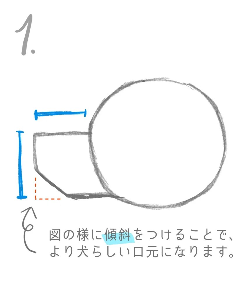 柴犬の横顔が丸と横長長方形の形がベース
丸と横長長方形の形がベース
横顔はベースは丸と横長長方形を組み合わせた形をベースにいたします。
青線の高さ、幅はその子によって調整しましょう。