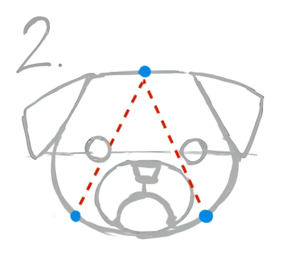 目と鼻のバランスは逆3角形でとる
次に目と鼻を書き込みます
両目の間に鼻と口を描きこみます。

口もとの形状は顔の中心線の下部に楕円かひし形をベース描きこみます。

パグは目の間隔を広げるとより"らしく"見えます。