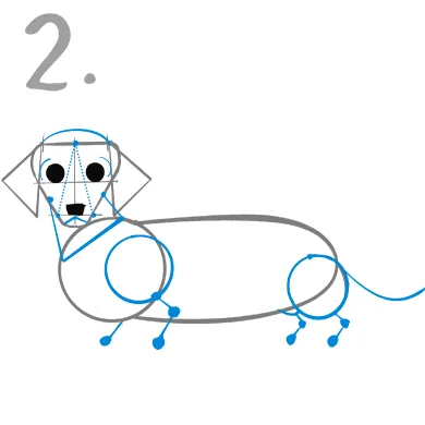 ２．両足は短足かつ「く」をベースに
ダックスフンドの一番の特徴である足は
コーギーに比べ、かがんでいるような骨格でありひらがなの「く」を反転させて描きこむと、よりダックスフンドの足に近づきます。