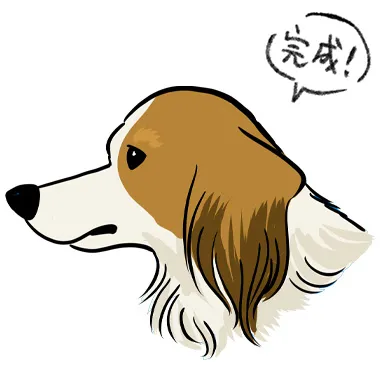 コーイケルホンディエの顔を描いてみよう
横顔を描く3つのポイント

１～３の下絵が完成いたしましたら色を付け完成です。